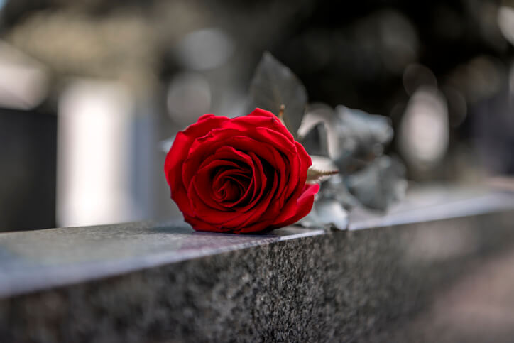 Rose on a headstone